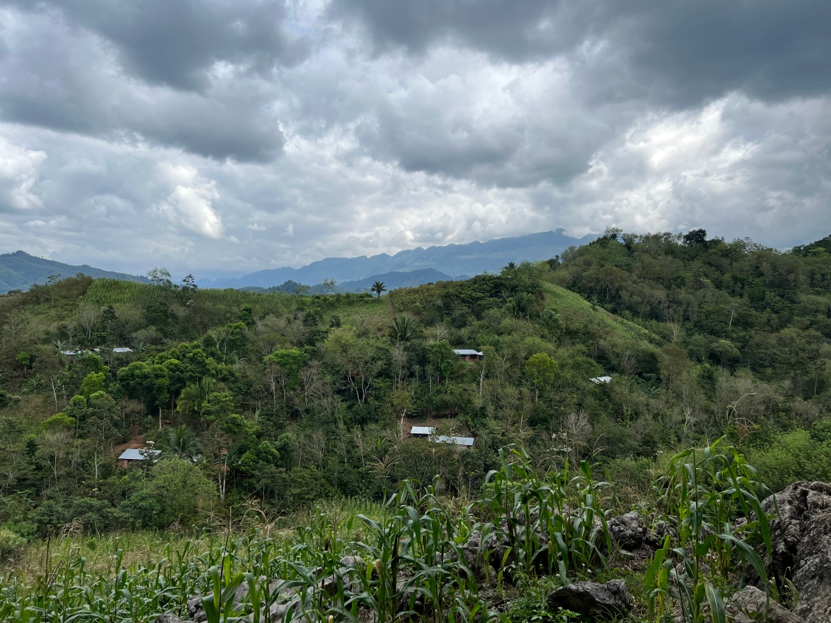 Retour dans la jungle, à la découverte du Guatemala